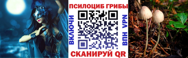 darknet как зайти  купить наркотики цена  Бавлы  Галлюциногенные грибы мухоморы 